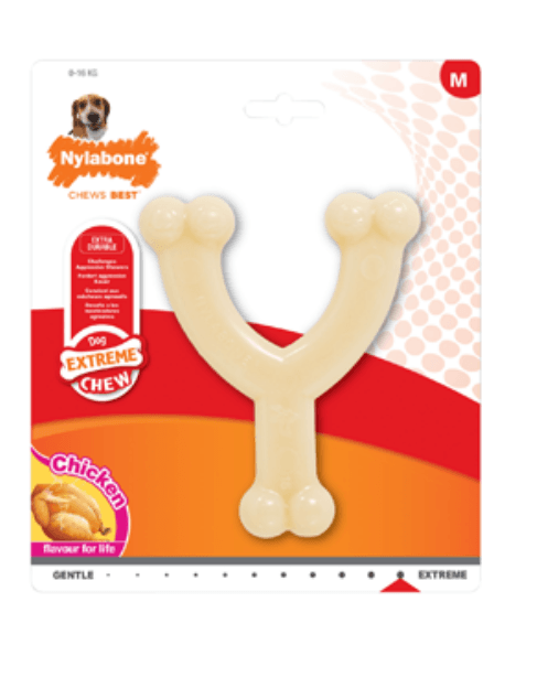 Brinquedo para cão Nylabone Dog Extreme Chew Wishbone