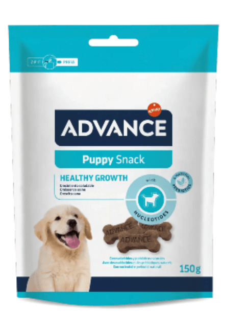 Snack Advance Dog Puppy