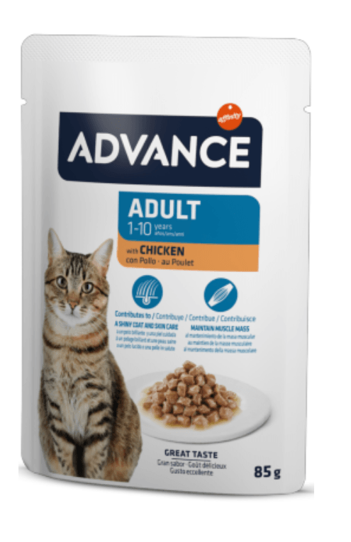 Comida Húmida Advance Cat Adult Chicken Saquetas 12 x 85g