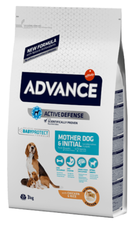 Advance Mother Dog & Initial Frango e Arroz