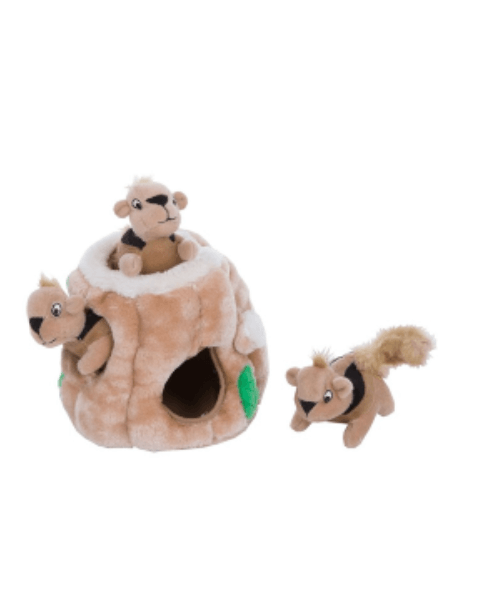 Brinquedo para cão Outward Hound Hide-a-Squirrel