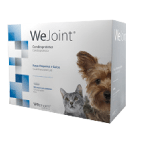 WeJoint Raças Pequenas e Gatos