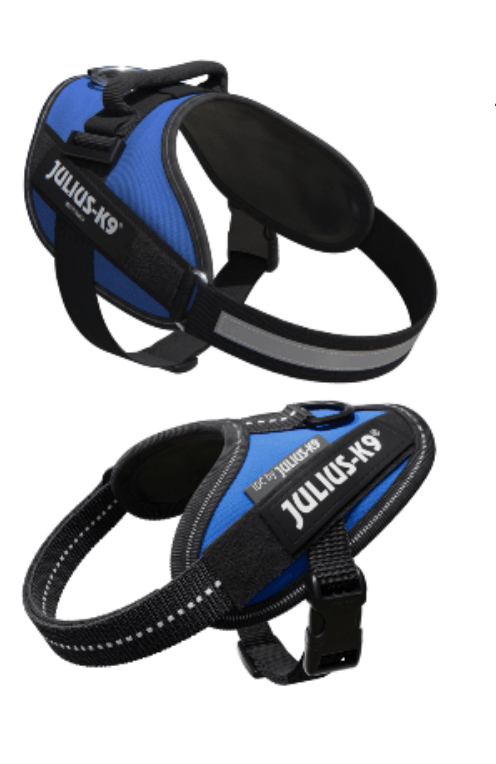 Arnês para Cão Julius-K9 IDC Powerharness Azul