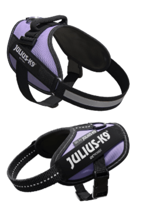 Arnês para Cão Julius-K9 IDC Powerharness Roxo