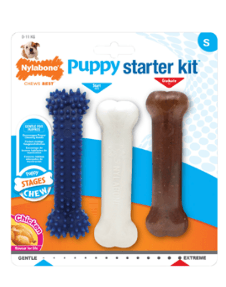 Brinquedo para cão Nylabone Puppy Teething Chew Starter Kit