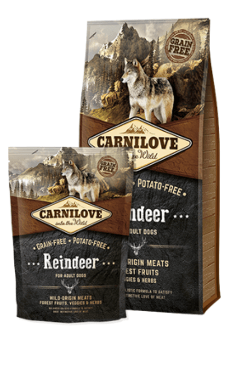 Carnilove Grain-Free Reindeer Adult Dog 12 Kg
