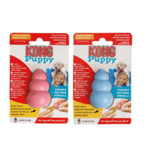Kong Puppy Cores Sortidas