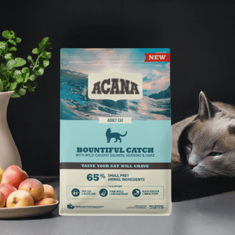 Acana Cat Bountiful Catch